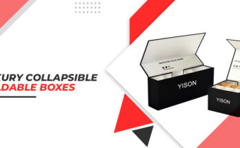 Luxury Collapsible Foldable Boxes
