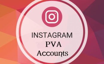 Instagram PVA